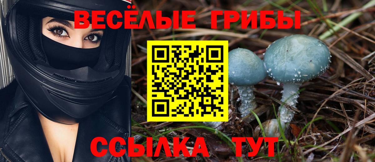 Обнинск  Псилоцибиновые грибы мицелий  Вход с VPN  Псилоцибиновые грибы Magic Shrooms 